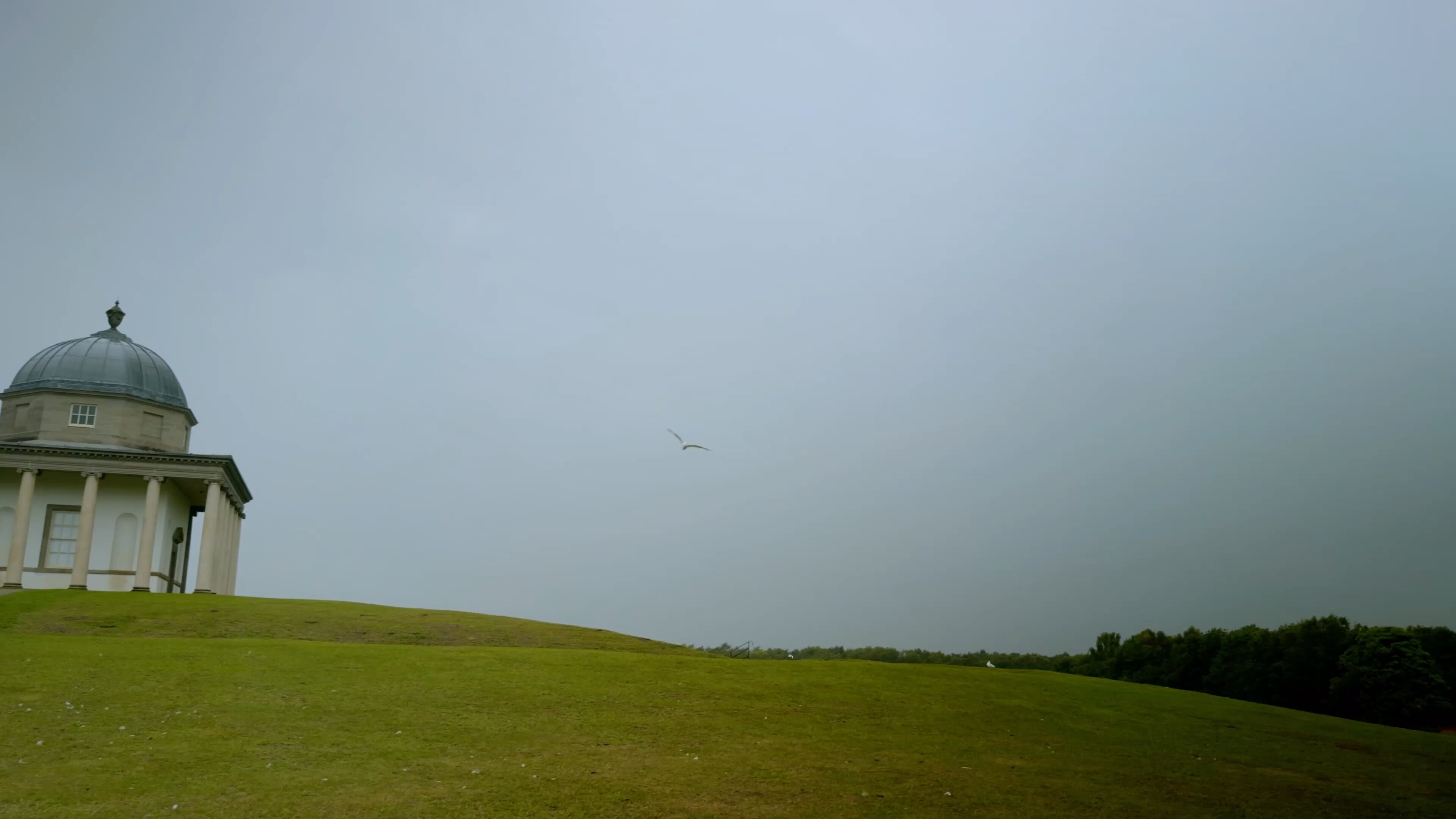 A bird flies over a swath of green field with a temple situated to the left