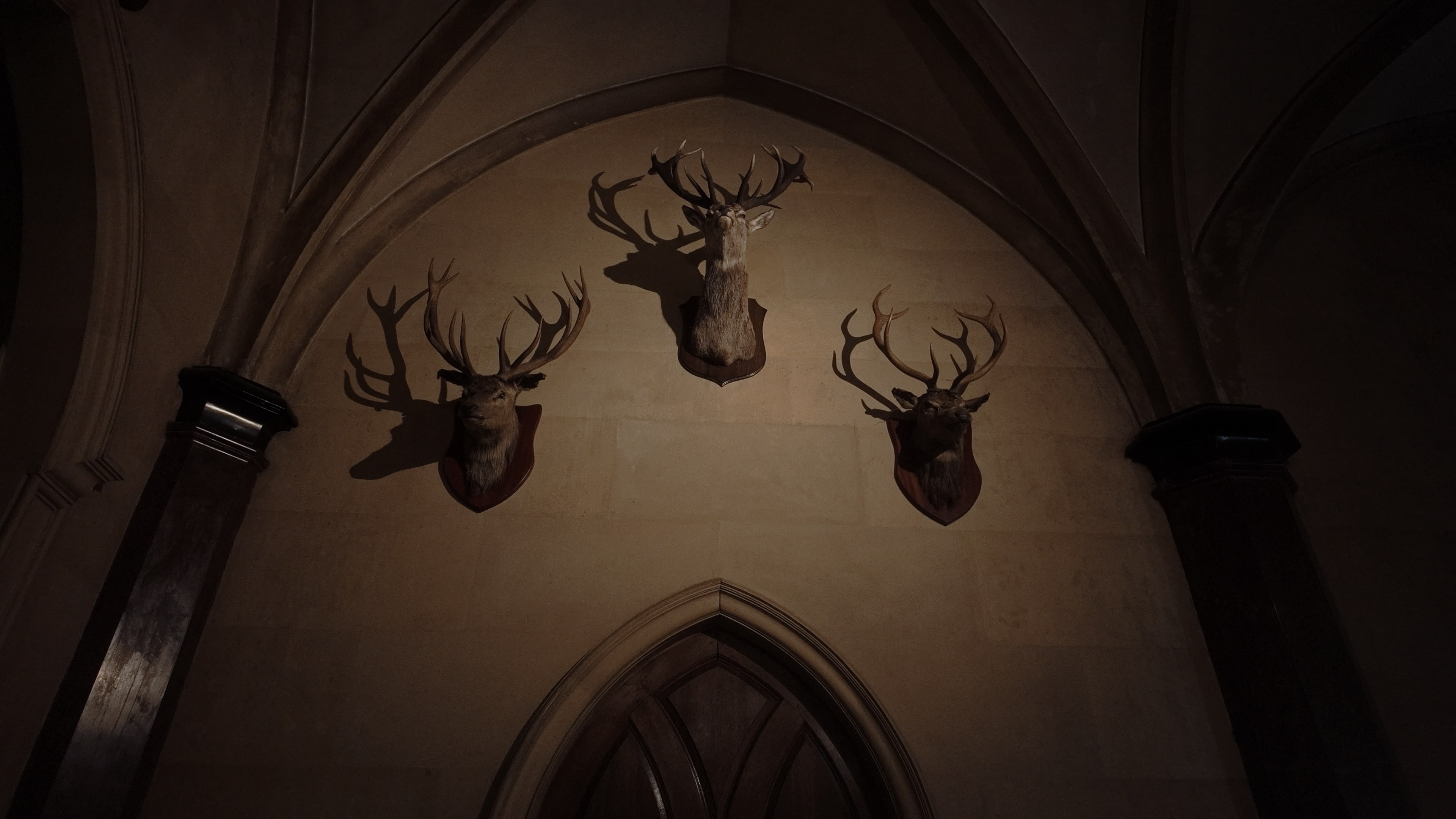 Three wall-mounted deer heads above a wooden door