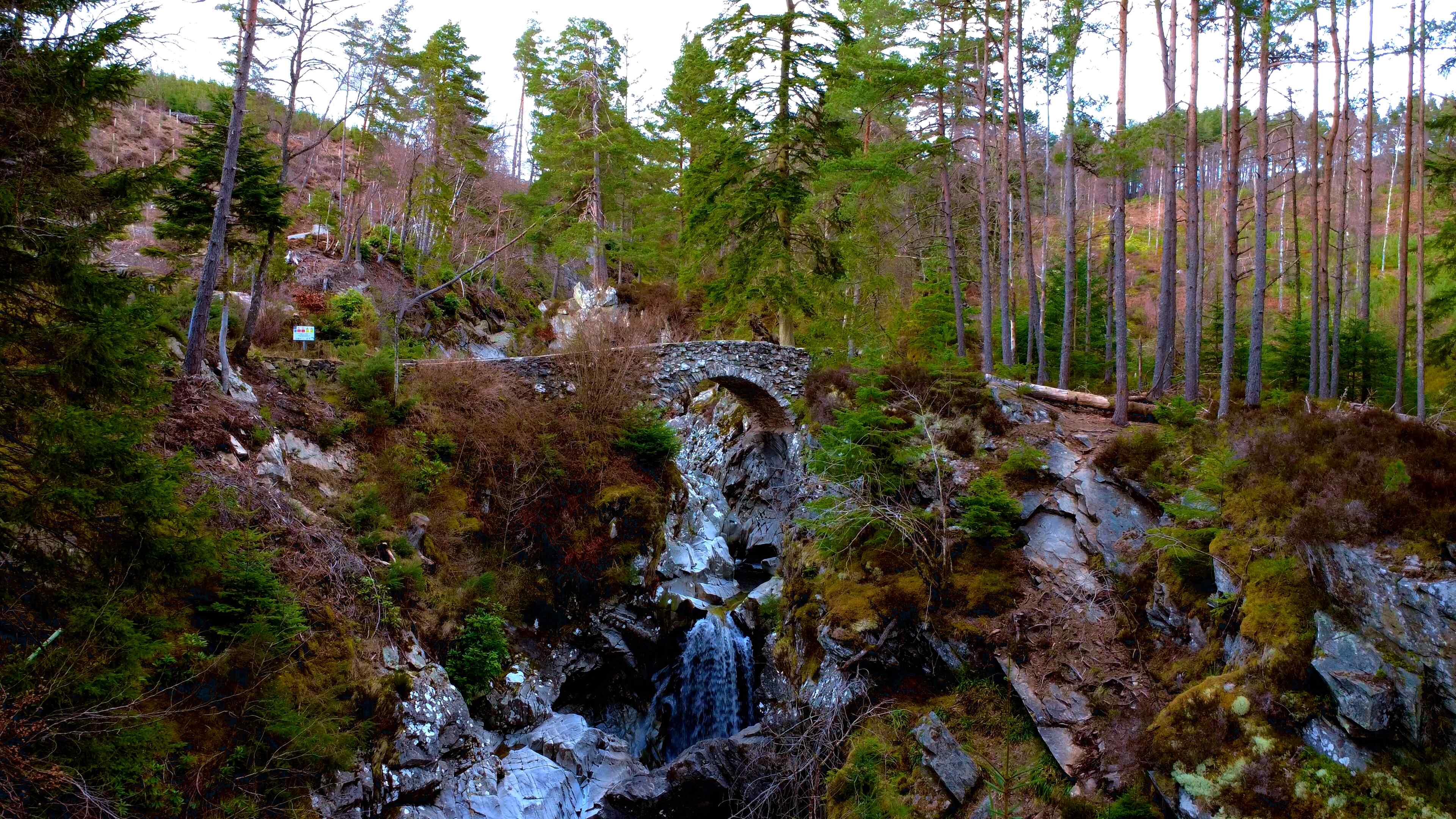 A serene waterfall cascading through a lush green forest, surrounded by trees and natural foliage